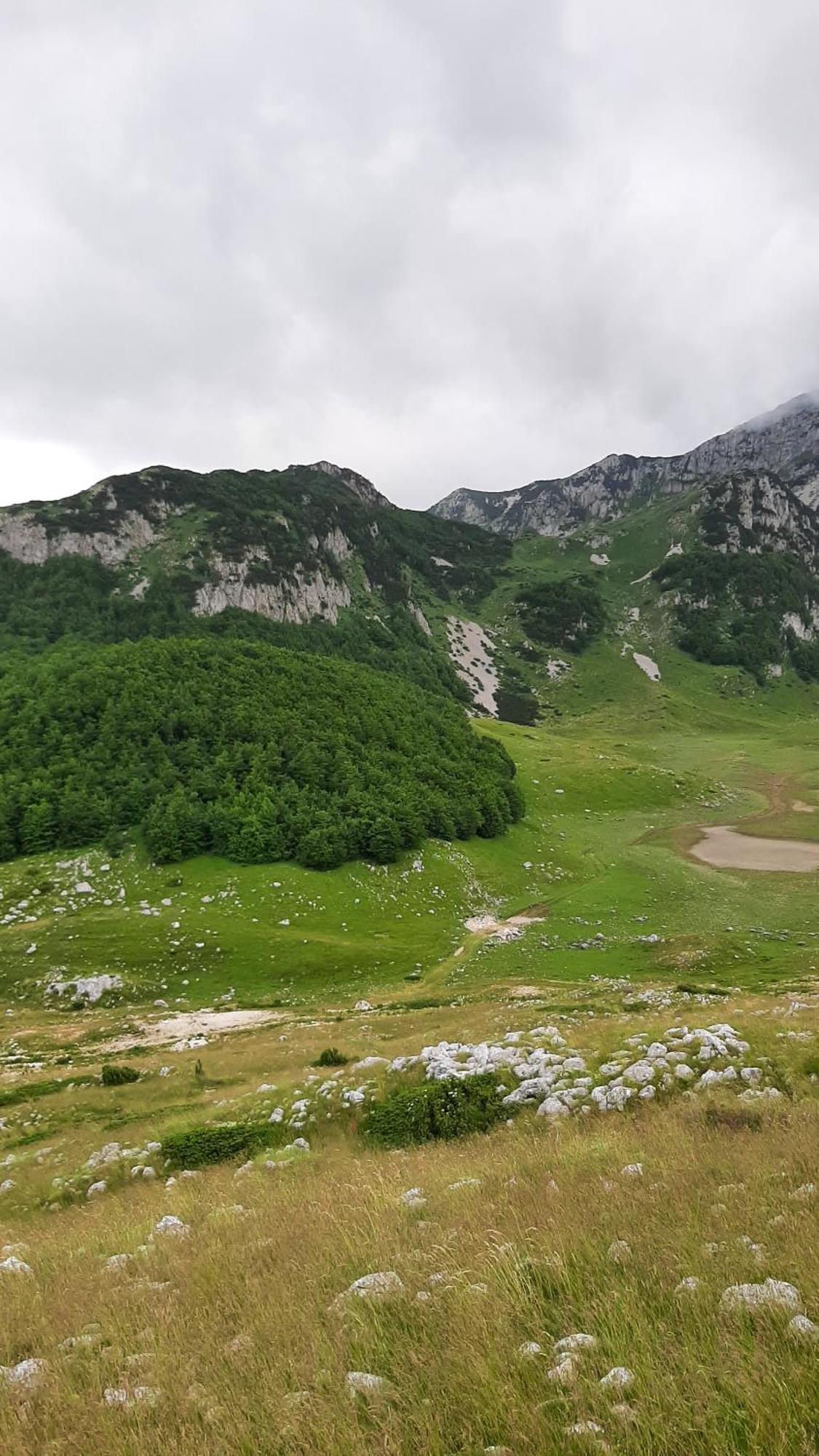 Apartments Durmitor Zabljak  Ngoại thất bức ảnh