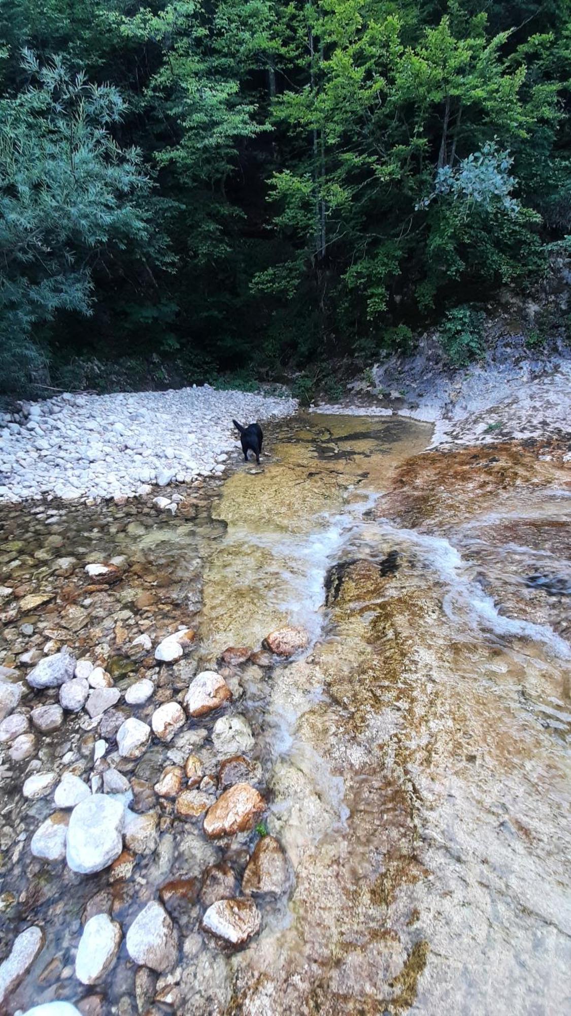 Apartments Durmitor Zabljak  Ngoại thất bức ảnh