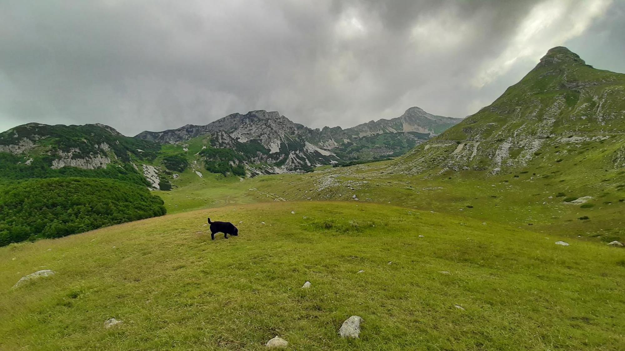 Apartments Durmitor Zabljak  Ngoại thất bức ảnh