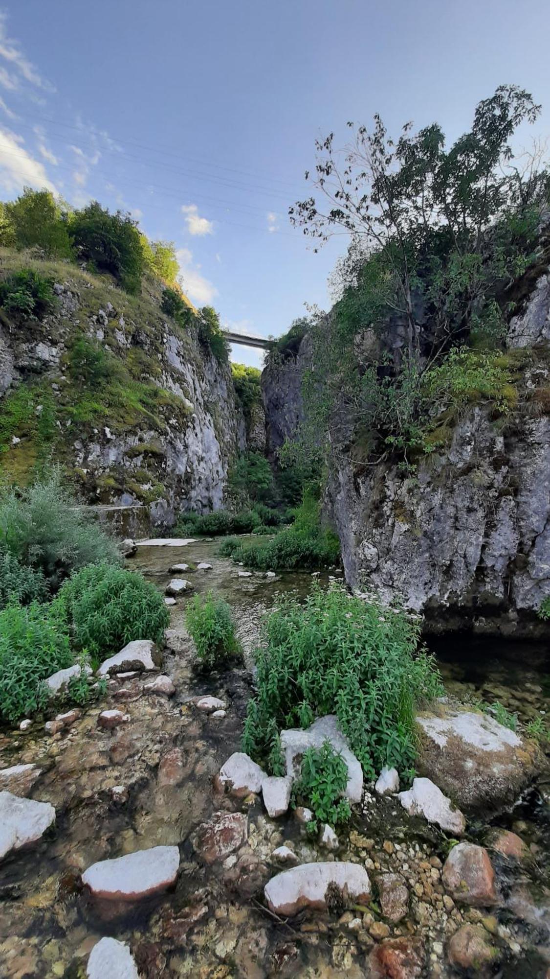 Apartments Durmitor Zabljak  Ngoại thất bức ảnh