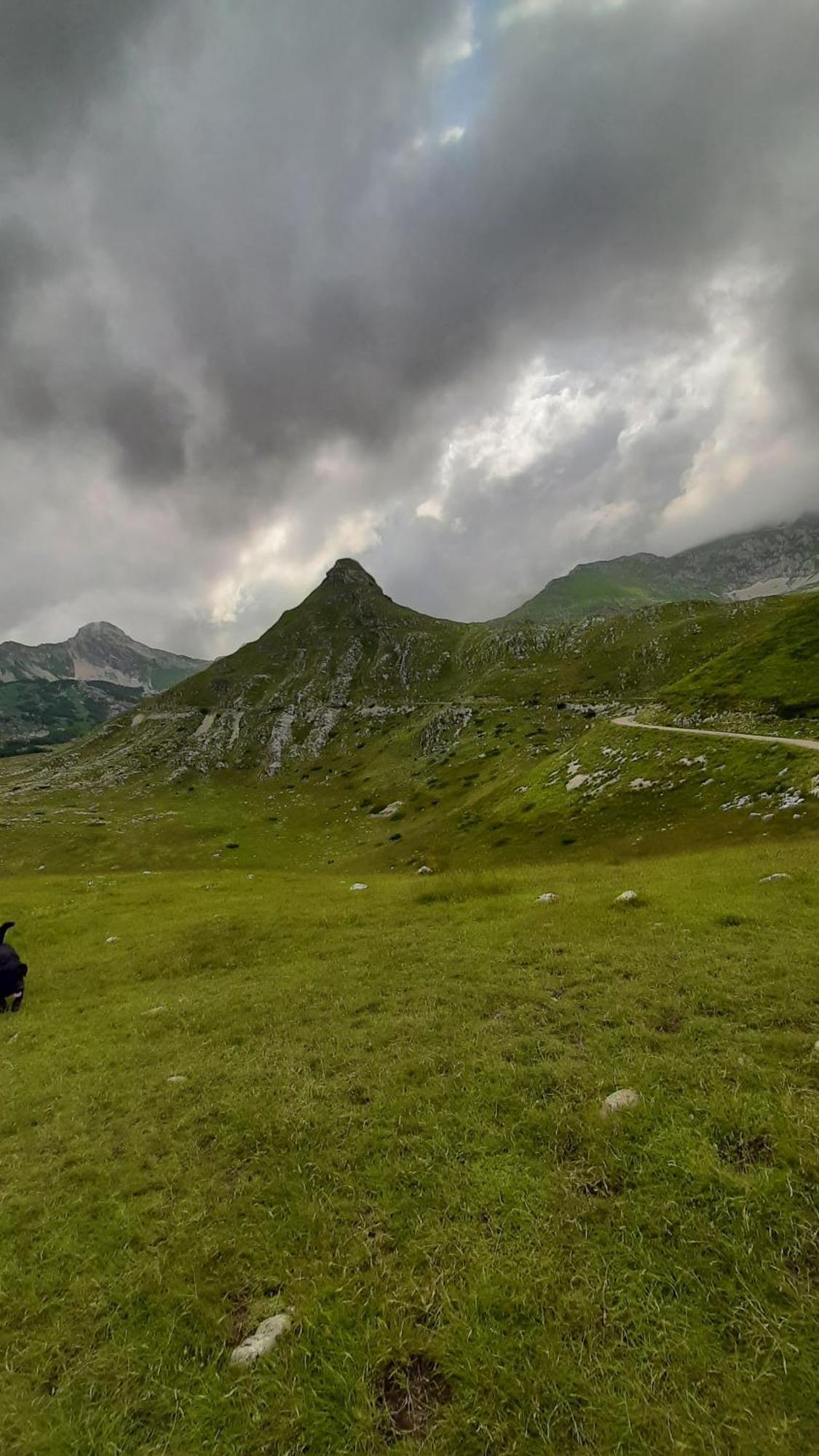 Apartments Durmitor Zabljak  Ngoại thất bức ảnh
