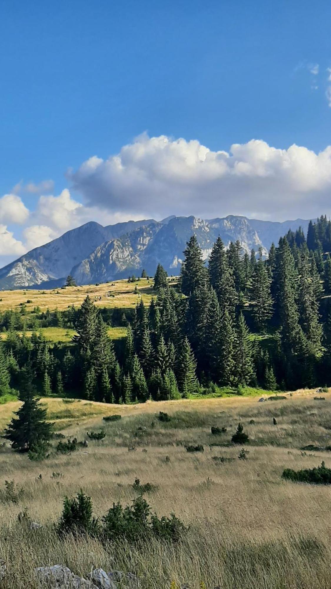 Apartments Durmitor Zabljak  Ngoại thất bức ảnh